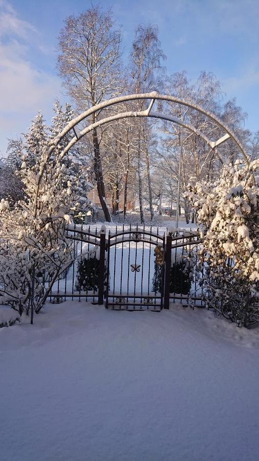 Letnia Willa Jacuzzi & Sauna Ujście-Darłowskie Buitenkant foto